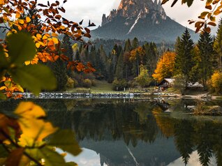 Paneveggio-Pale di San Martino Nature Park