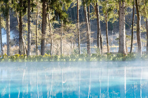 TERME IN TRENTINO TRA ACQUE E NATURAL WELLNESS