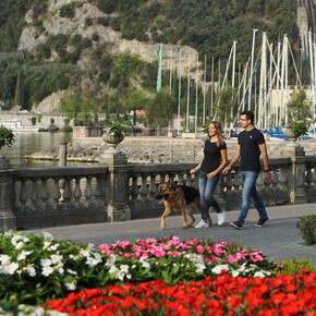 Trentino heißt Besucher für einen Sommer inmitten der Natur...
