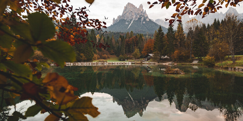 NEI PARCHI NATURALI TRENTINI RISUONANO I BRAMITI  #4