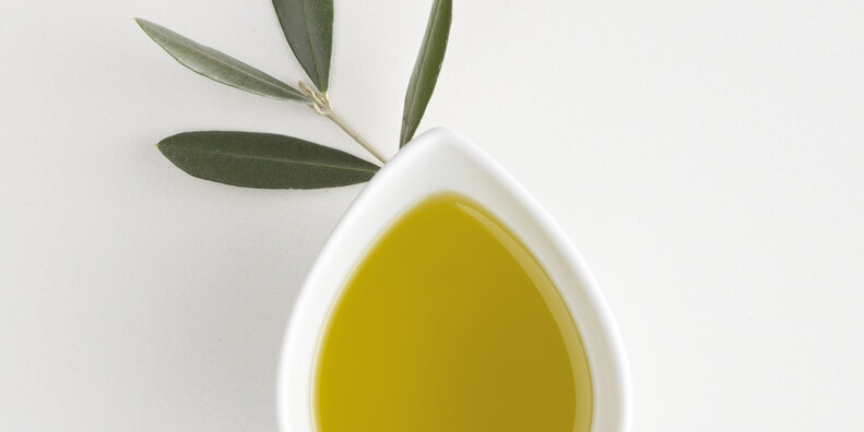 Oliven ernten im nördlichsten Olivenanbaugebiet der Welt #2