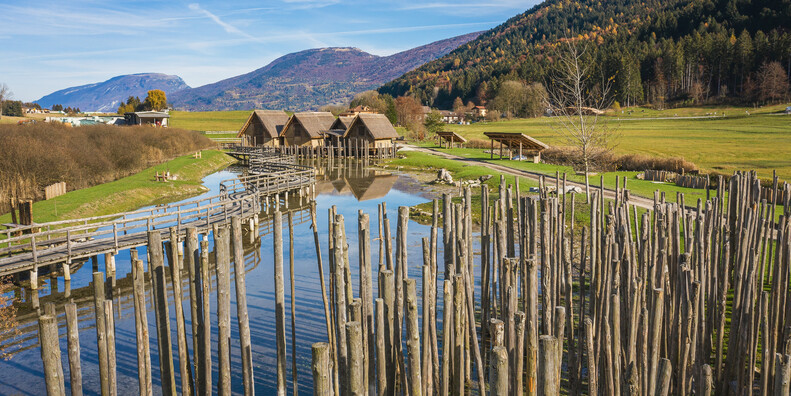 NEL VILLAGGIO PREISTORICO TRA TERRA E ACQUA #7