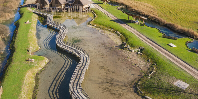 NEL VILLAGGIO PREISTORICO TRA TERRA E ACQUA #6