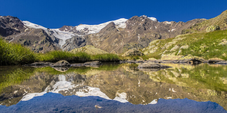 IL RESPIRO DELLA NATURA, LE PROPOSTE NEI PARCHI #3