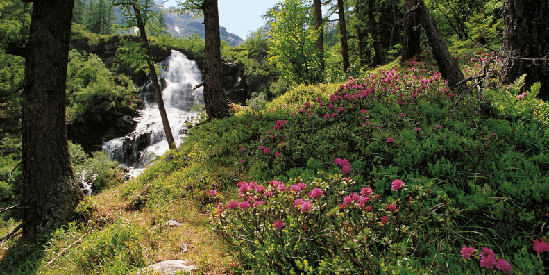 IL RESPIRO DELLA NATURA, LE PROPOSTE NEI PARCHI #4