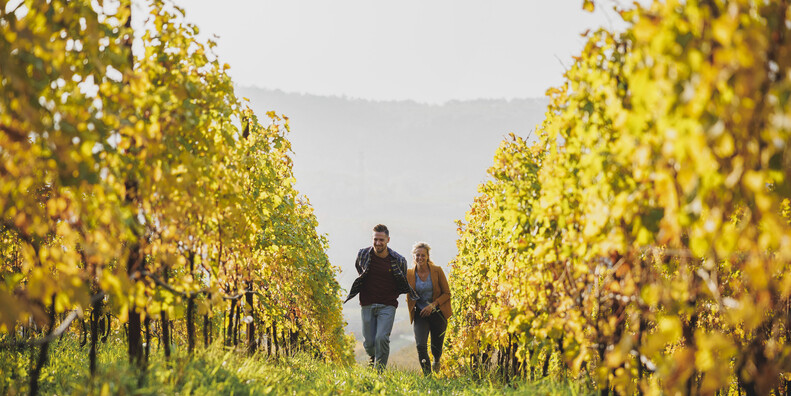 TRENTINO, AUTUNNO DIVINO #2