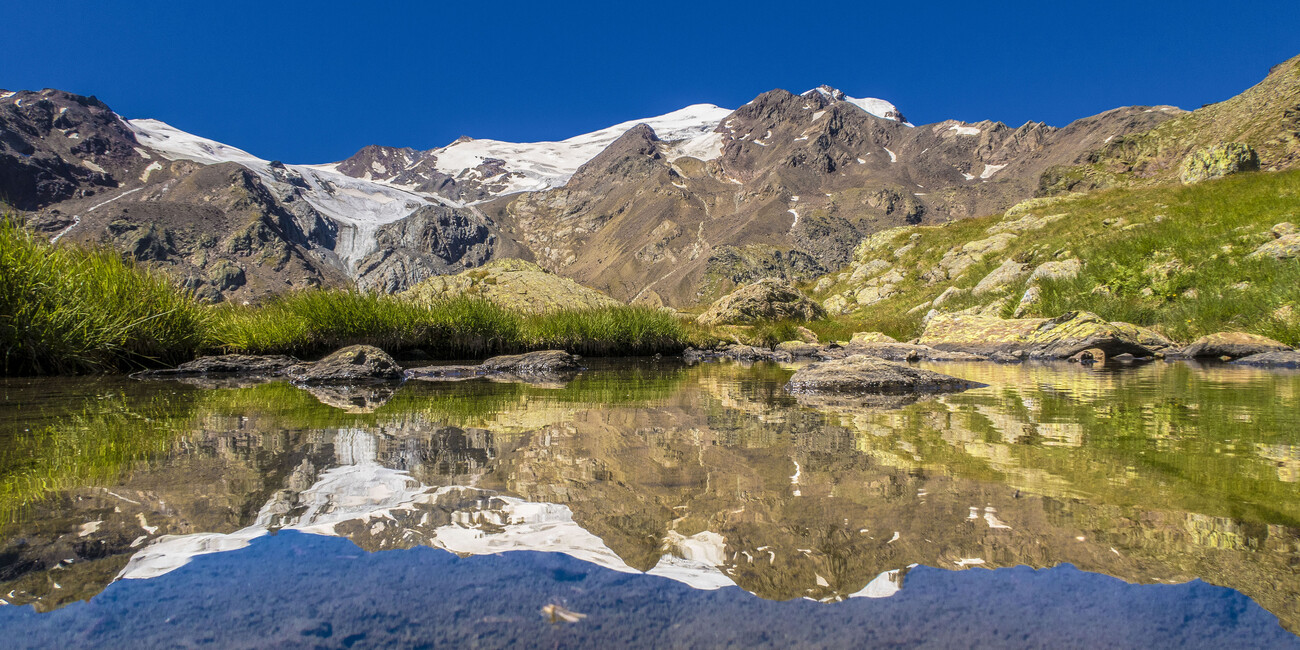 IL RESPIRO DELLA NATURA, LE PROPOSTE NEI PARCHI #6