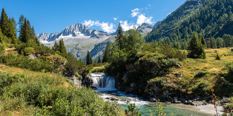 IL RESPIRO DELLA NATURA, LE PROPOSTE NEI PARCHI #1