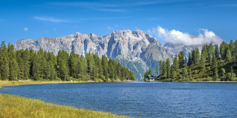 IL RESPIRO DELLA NATURA, LE PROPOSTE NEI PARCHI #5