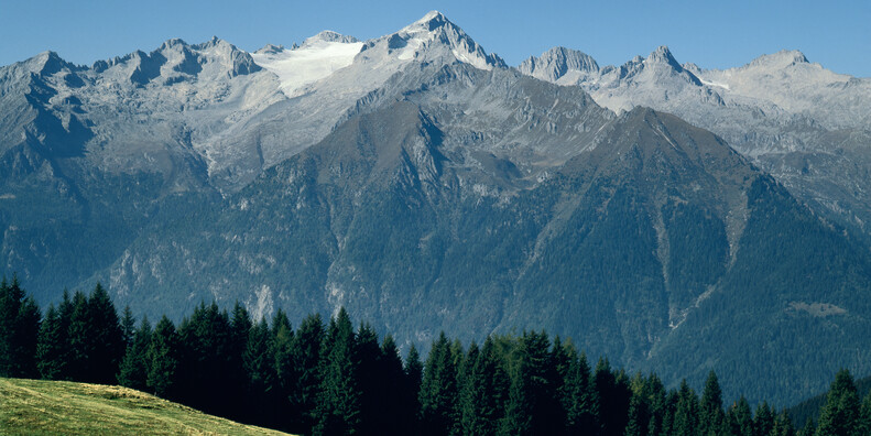 IL RESPIRO DELLA NATURA, LE PROPOSTE NEI PARCHI #4