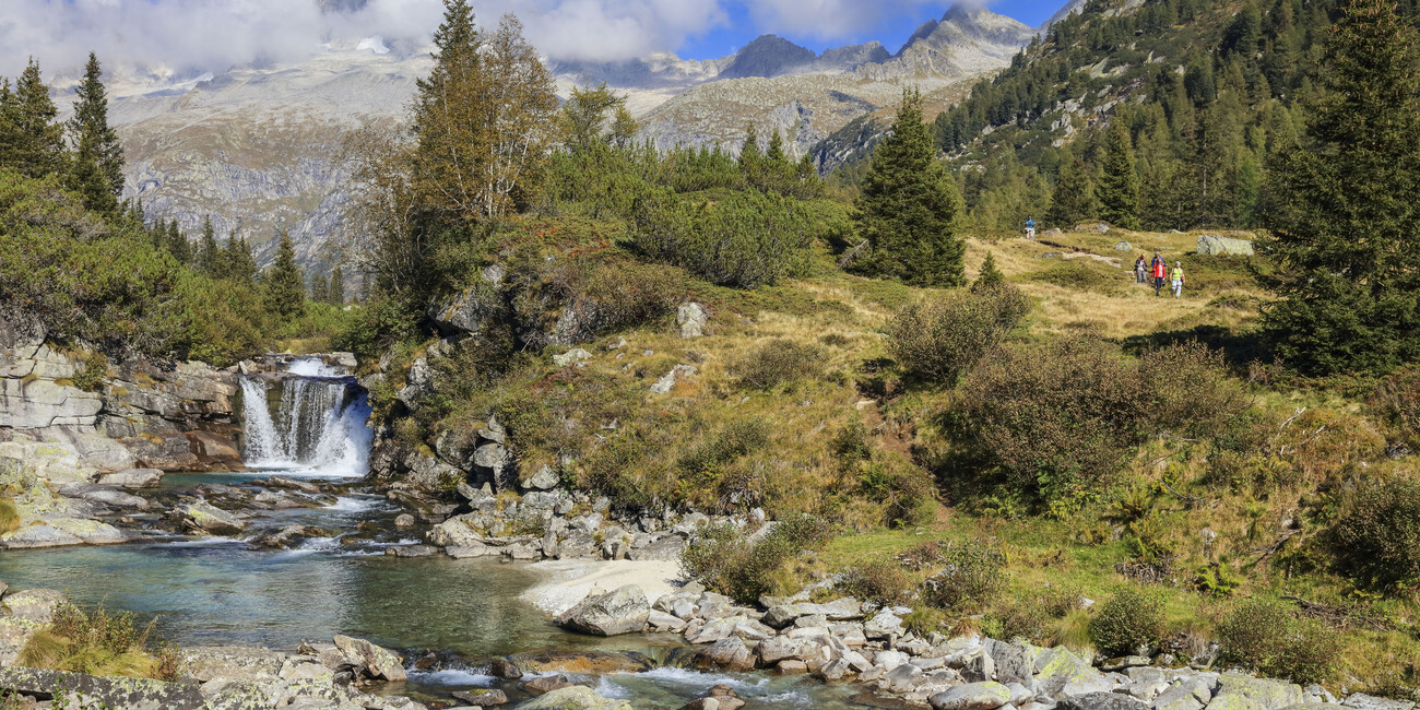 NEI PARCHI NATURALI TRENTINI RISUONANO I BRAMITI #3