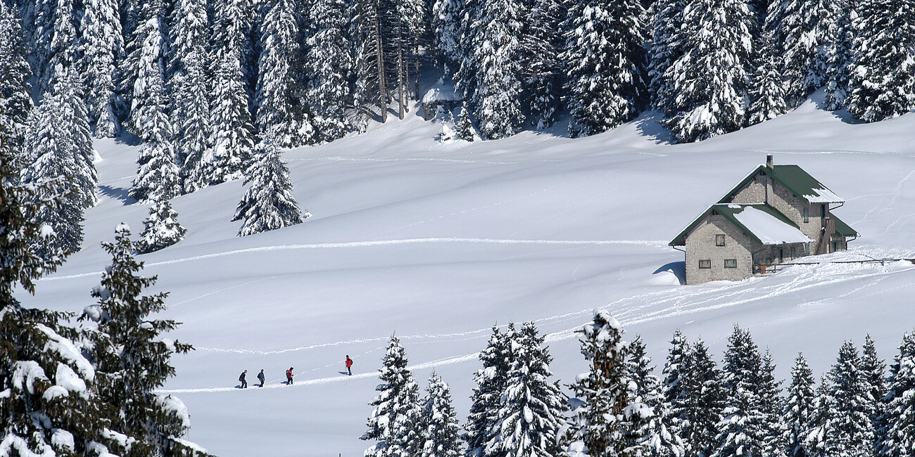 RESPIRARE IN LIBERTÀ IL PROFUMO DELLA NEVE #2