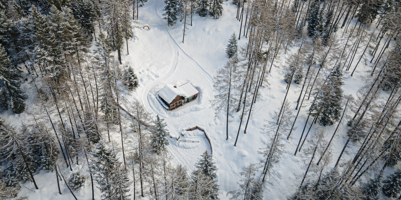 IL BOSCO IN UNA STANZA: SMART WORKING IN TRENTINO #1