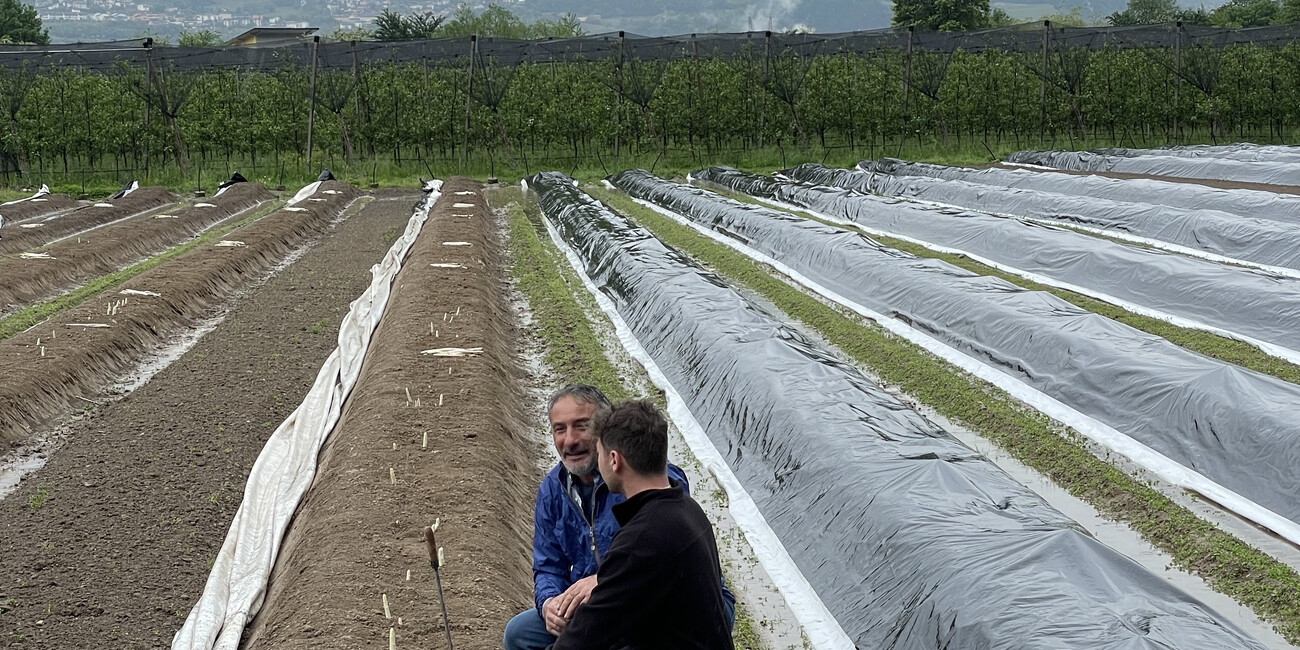 A MELAVERDE PUNTATA DEDICATA ALLA PIANA ROTALIANA #1