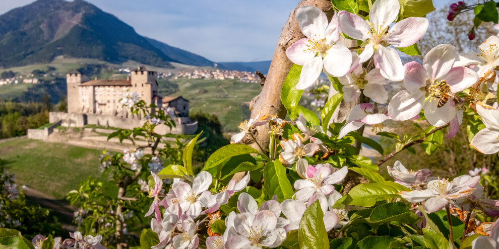 Appelboomgaarden en kastelen