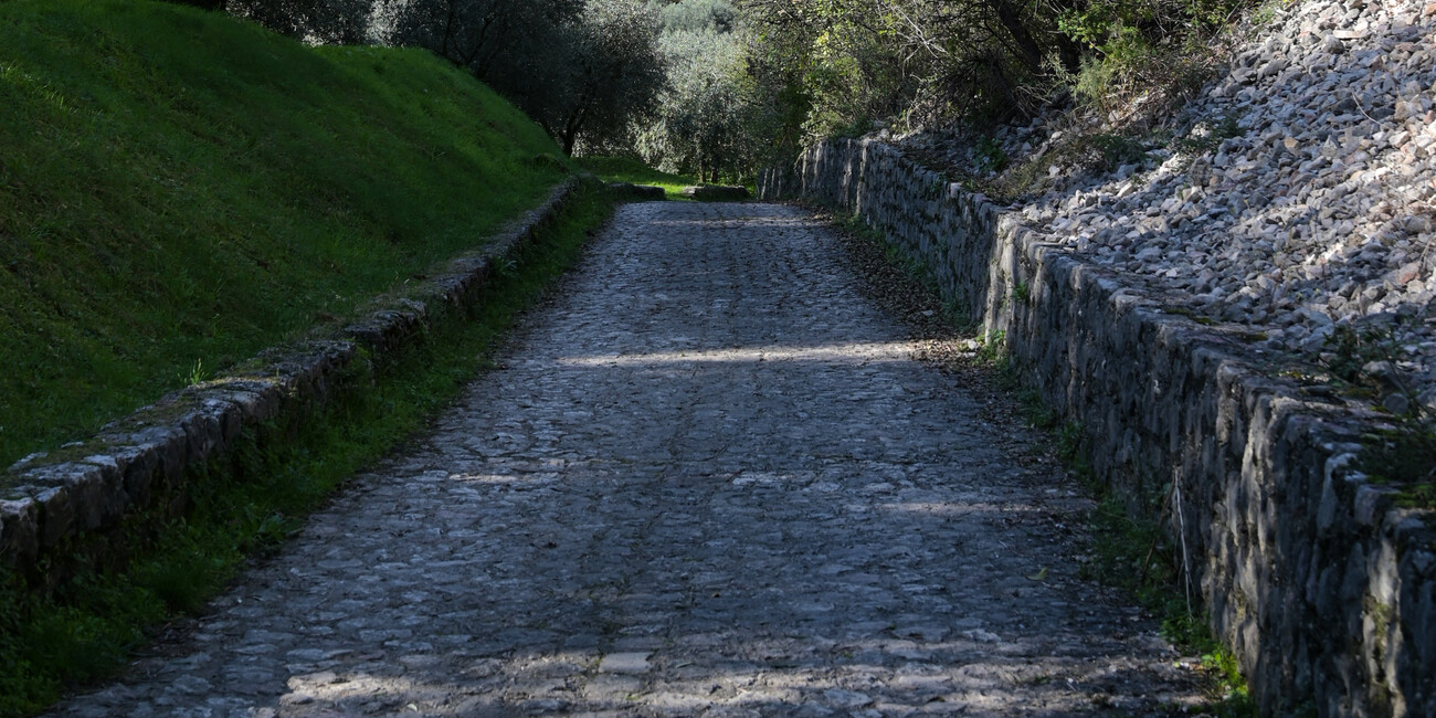 IL “SENTIERO DELL’OLIVO” PER ARRIVARE AL CUORE DEL GARDA TRENTINO #3