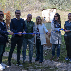 IL “SENTIERO DELL’OLIVO” PER ARRIVARE AL CUORE DEL GARDA...