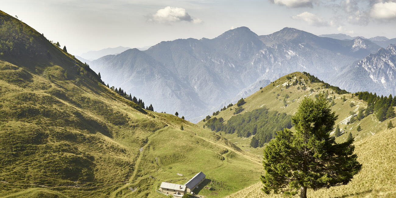 TRENTINO OPENT WANDELSEIZOEN PER 20 JUNI 2024 #2