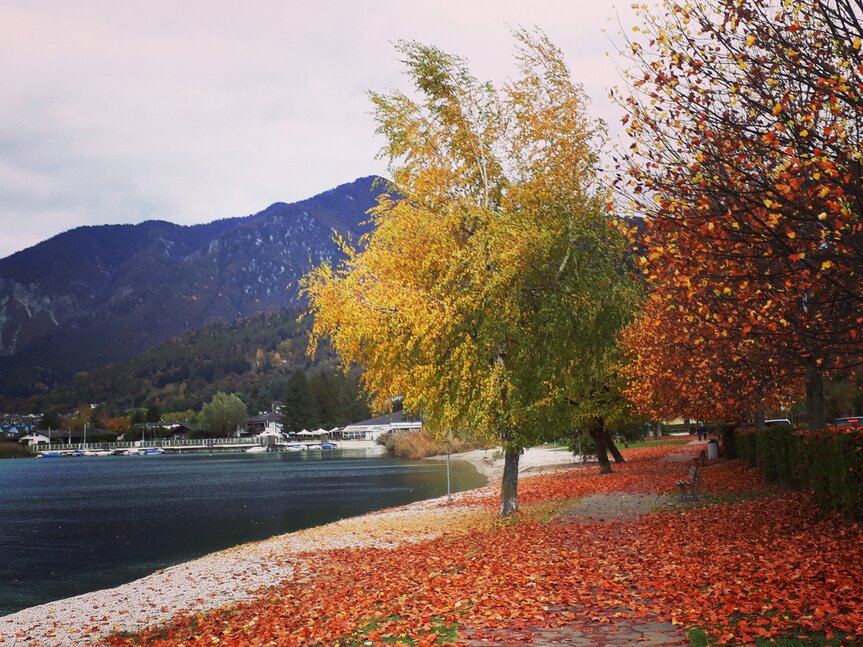 Lago_di_Caldonazzo_autunno_ph_r_ochs | © Lago_di_Caldonazzo_autunno_ph_r_ochs