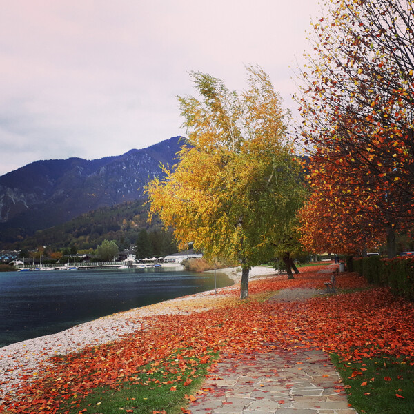 Lago_di_Caldonazzo_autunno_ph_r_ochs | © Lago_di_Caldonazzo_autunno_ph_r_ochs