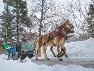 Andalo Winterurlaub | © Slitta con Cavalli - photo APT Paganella Dolomiti