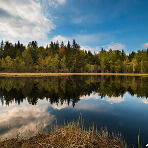 Network of Nature Reserves Cembra - Avisio | © Foto Archivio Rete di Riserve Cembra – Avisio