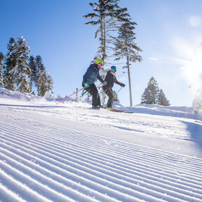 Ski Area Lavarone 