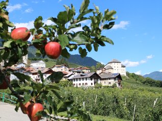 Castel Caldes - APT Val di Sole - photo D. Andreis | © Castel Caldes - APT Val di Sole - photo D. Andreis