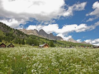 Passo San Pellegrino