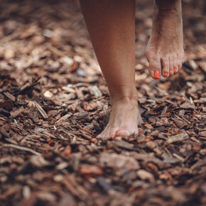 Barefoot sensory path Fata Gavardina | © 2023_APTGARDADOLOMITI_PRUGNOLA