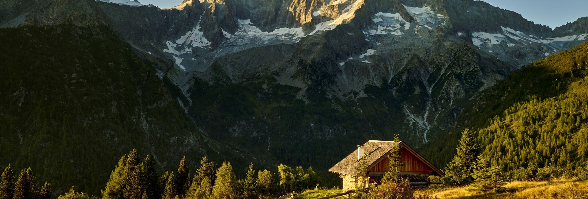 Vermiglio