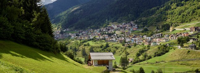 Vermiglio