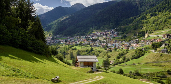 Vermiglio