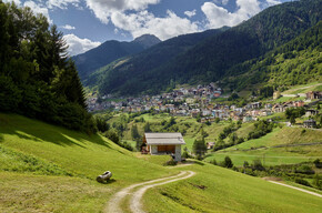 Vermiglio