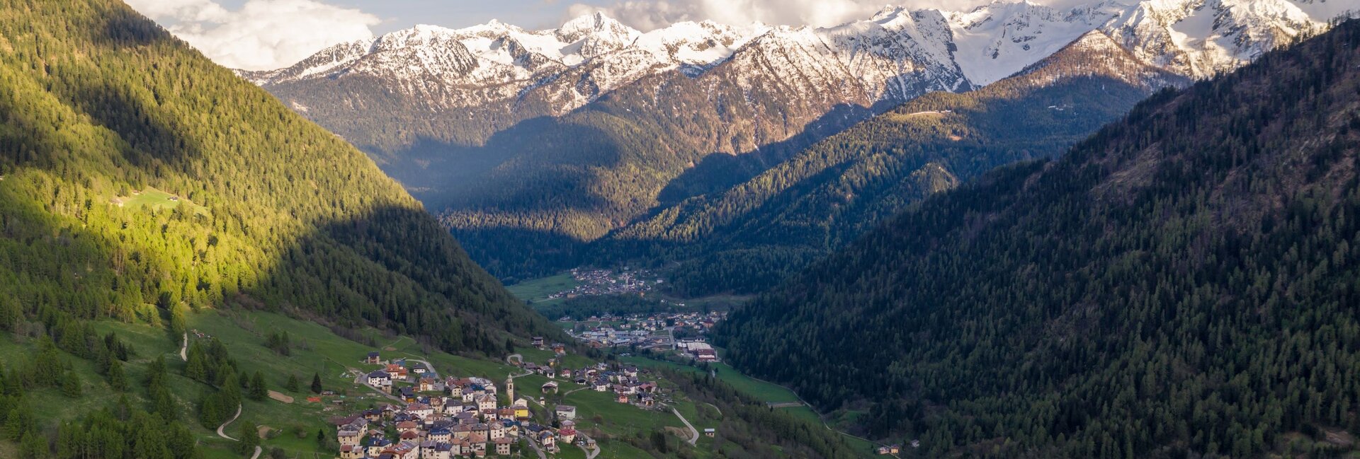 Vermiglio