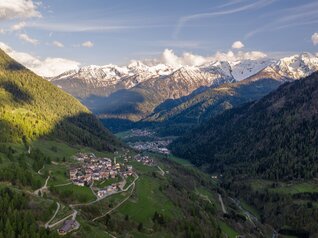 Vermiglio