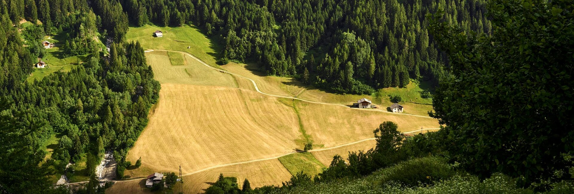 Vermiglio