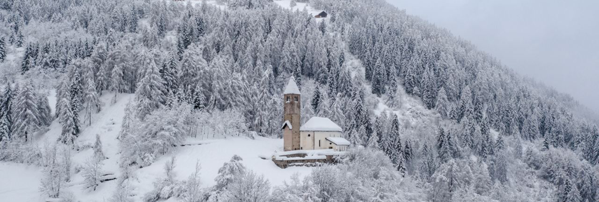 Vermiglio