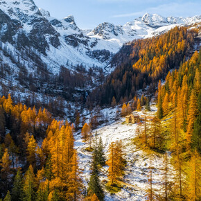 Der Stelvio-Nationalpark