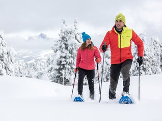 Val di Fiemme