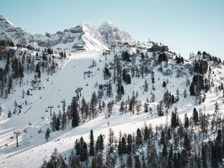 Folgarida-Marilleva, Peio3000, Passo Tonale