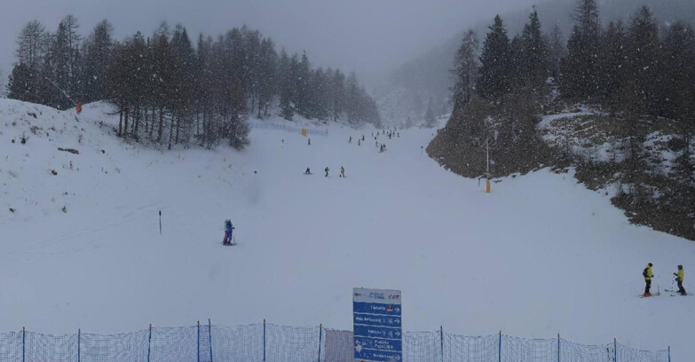 Webcam Пейо 3000 - Scoiattolo Ski School