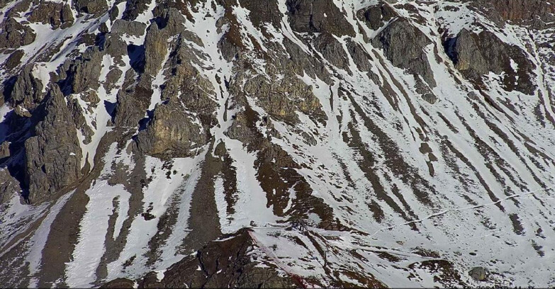 Webcam Passo San Pellegrino-Falcade  - Seggiovia Cima Uomo