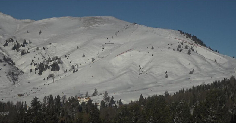 Webcam Bellamonte-Alpe Lusia  - Pista direttissima Le Cune