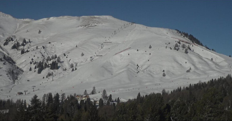 Webcam Bellamonte-Alpe Lusia  - Pista direttissima Le Cune