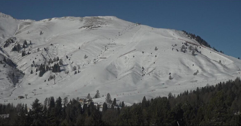 Webcam Bellamonte-Alpe Lusia  - Pista direttissima Le Cune