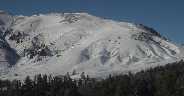 Webcam Bellamonte-Alpe Lusia - Pista direttissima Le Cune