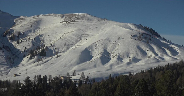 Webcam Bellamonte-Alpe Lusia - Pista direttissima Le Cune