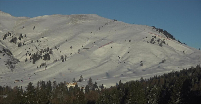 Webcam Bellamonte-Alpe Lusia  - Pista direttissima Le Cune