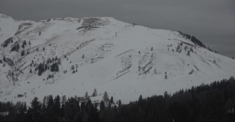 Webcam Bellamonte-Alpe Lusia - Pista direttissima Le Cune